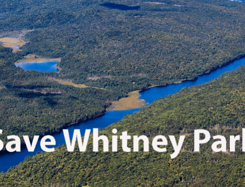 Save Whitney Park